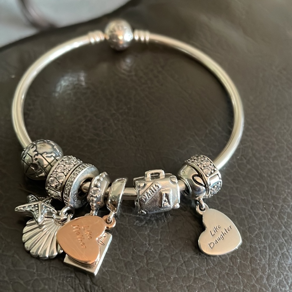 Pandora Travel Charm Bracelet - Picture 7 of 7
